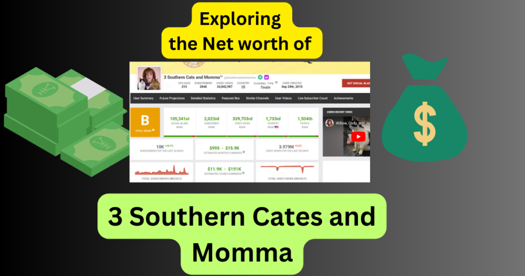 3 southern cats net worth